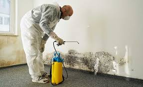 Reliable New Canaan, CT Mold Removal Solutions